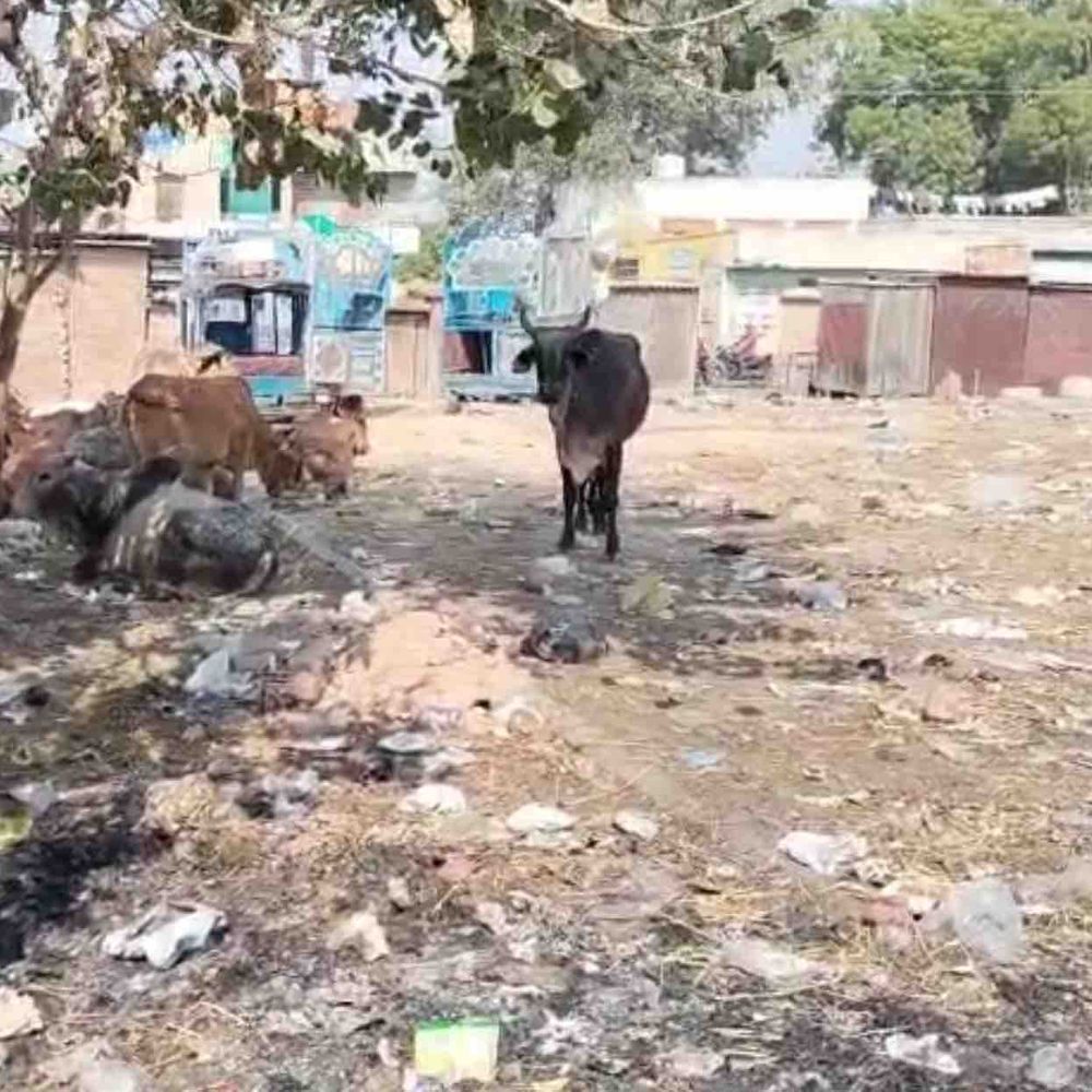 हनुमानगढ़ में पार्किंग की खाली जगह कचरे का ढेर बनी:सब्जी मंडी के पास बदबू से लोग परेशान, नगर परिषद पर उठे सवाल