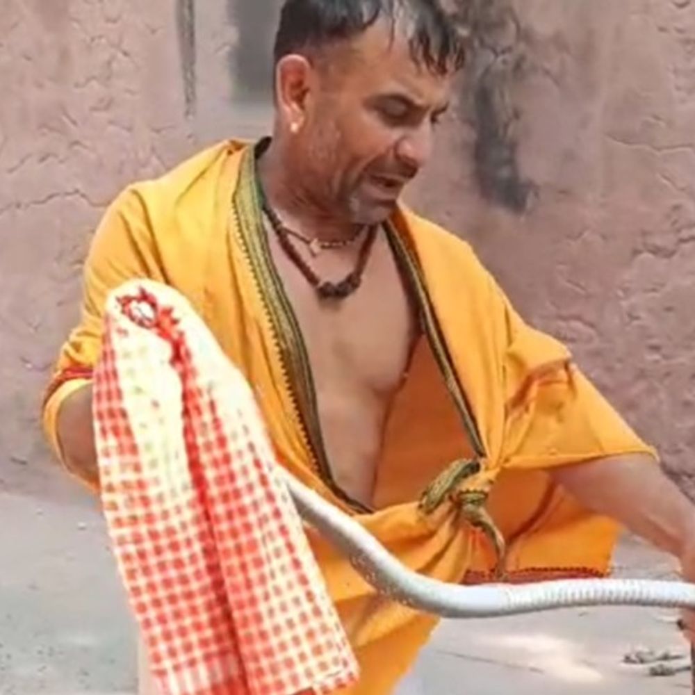 ताजमहल के गार्डन में निकला 7 फीट लंबा सांप:पर्यटकों में दहशत, टीम पहुंचने से पहले ही सुंदर पहलवान ने पकड़ा साँप