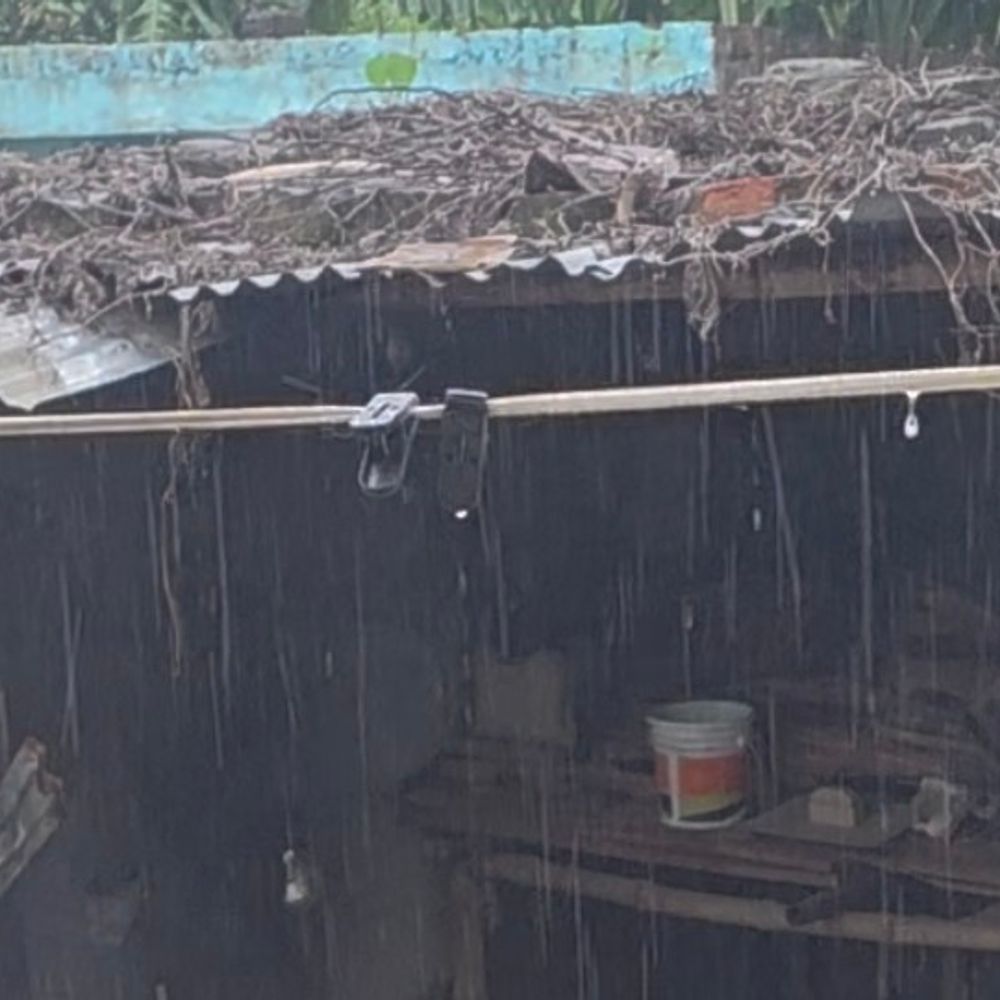 सहरसा में बारिश से धान की फसल को लाभ:कई गांवों में जलजमाव की समस्या, लोगों को आने-जाने में दिक्कत