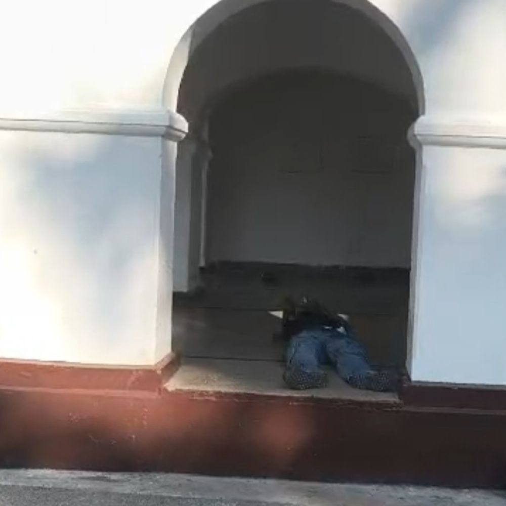 मेरठ सर्किट हाउस में मधुमक्खियों के हमले से भगदड़:युवक को 50 डंक मारे, बेहोश होकर गिरा; कई बच्चे भी घायल