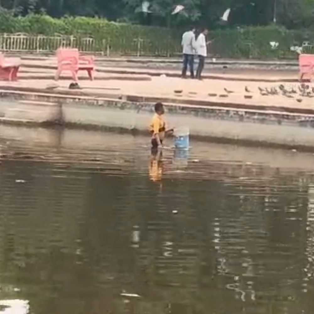 जल-विहार के जलकुंड में बड़ी संख्या में मछलियां मृत मिलीं:फिल्म शूटिंग के लिए पानी खाली करने का आरोप; अपर आयुक्त ने दिए जांच के निर्देश