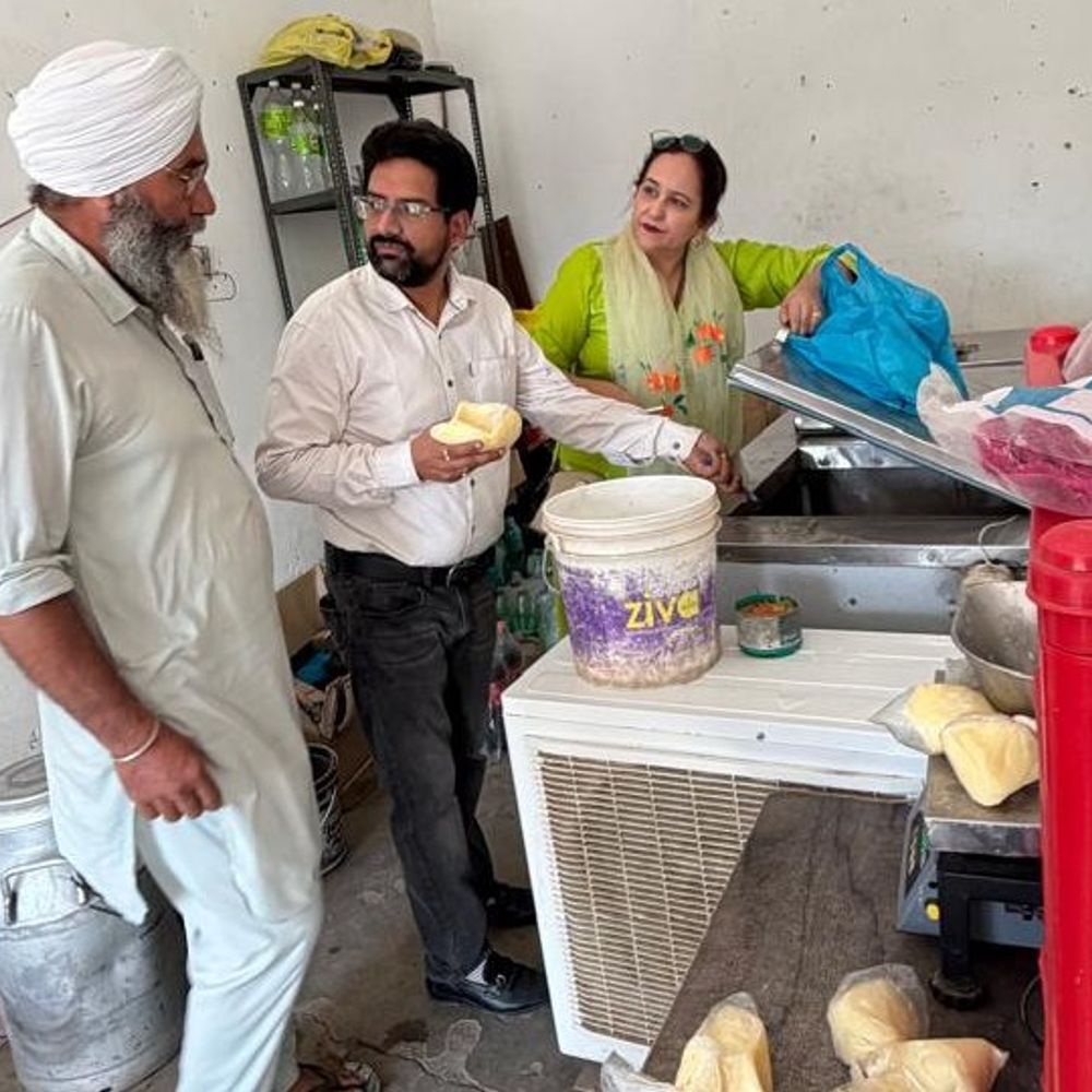 तरनतारन में फूड सेफ्टी विभाग की कार्रवाई:गांव पाहुविंड में मिठाइयों, देसी घी और तेल के 6 सैंपल लैब को भेजा, त्योहारों को लेकर चेकिंग अभियान
