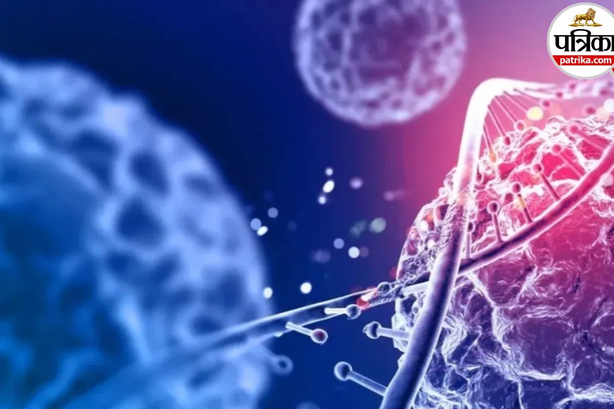 Cancer Diagnosis Next Steps: कैंसर डायग्नोसिस के बाद मरीज क्या करें? Mayo Clinic ने बताए 11 जरूरी कदम