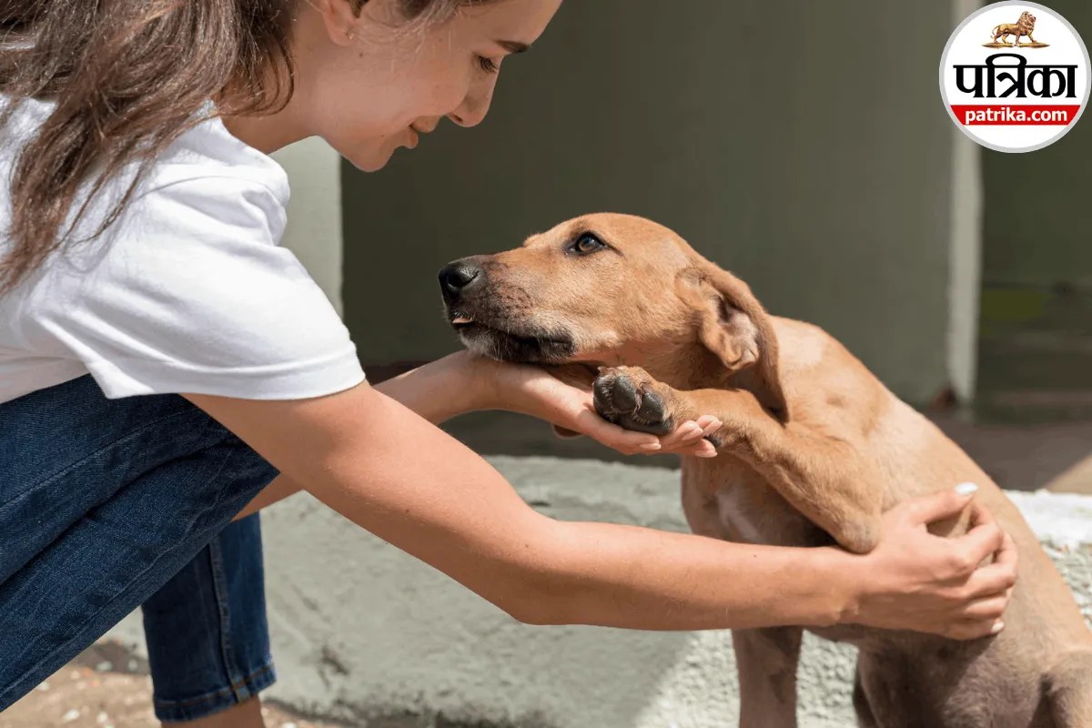 Dog Bite And Rabies: कुत्ते के काटने के एक महीने बाद किशोर की रेबीज से मौत, WHO और वेबएमडी से जानें इससे बचने के उपाय