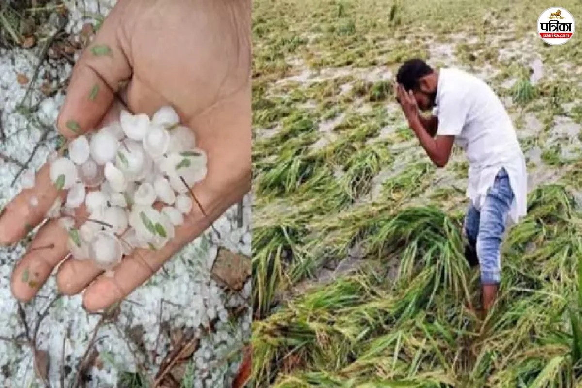 Hailstorm Alert: राजस्थान के 6 जिलों में ओलावृष्टि का अलर्ट, 40 kmph की रफ्तार से चलेगी हवा, इन जिलों में बारिश की संभावना
