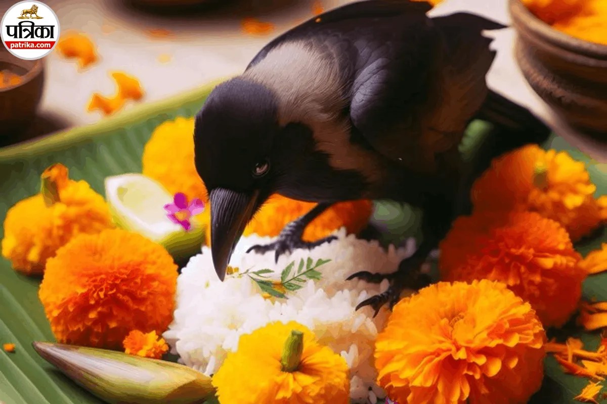 Mahalaya Amavasya पर पितरों के श्राद्ध और पिंडदान के लिए जा सकते हैं इन 9 जगहों पर