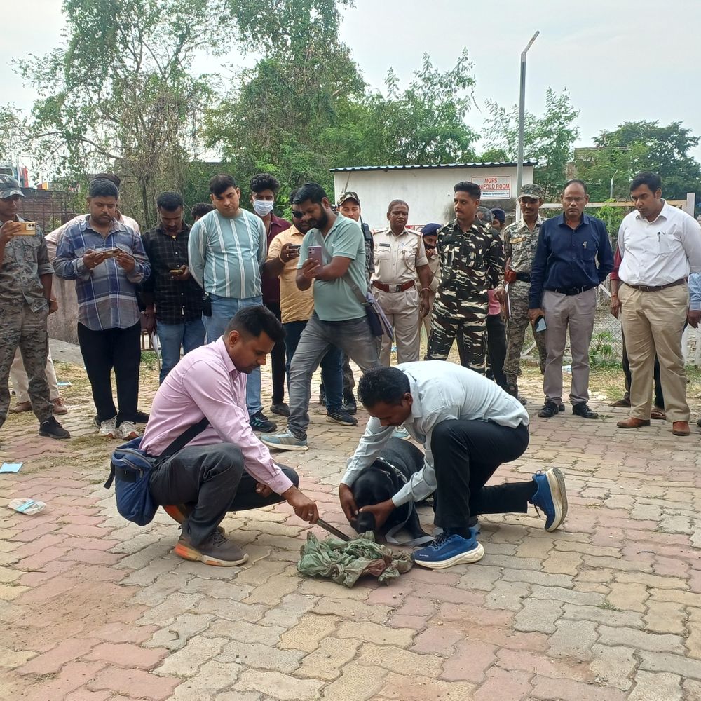 एमएमसीएच में नवजात का शव लेकर घूमता मिला कुत्ता:पोस्टमॉर्टम हाउस की झाड़ियों से आया बाहर, खून से सना कपड़ा मिला