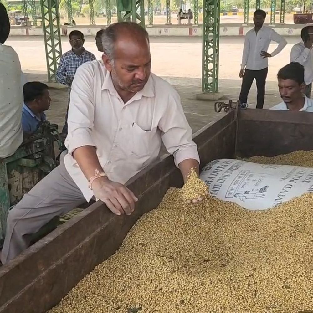 कृषि उपज मंडी में तीन दिन नीलामी बंद रहेगी:धान 4800 और सोयाबीन 7000 रुपए प्रति क्विंटल तक बिका