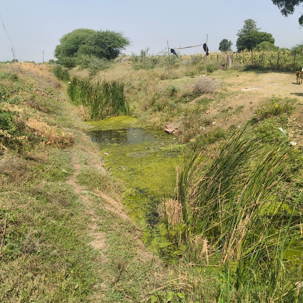 टिमरनी में किसानों की सिंचाई समस्याओं के लिए 24घंटे प्रकोष्ठ:तीन शिफ्टों में ड्यूटी तय, शिकायतों का तुरंत होगा समाधान
