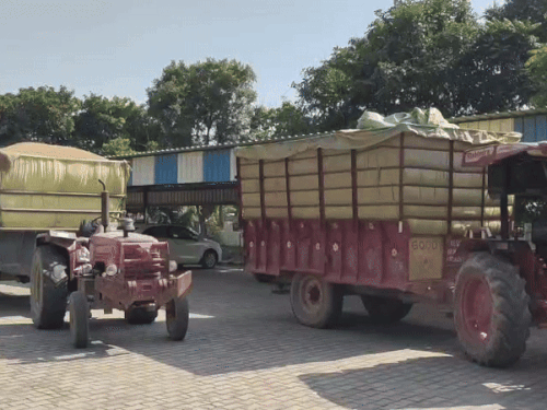 करनाल मंडी में यूपी से धान लाकर बेचने का शक:आढ़ती और किसान पर केस दर्ज,ई-खरीद पोर्टल पर हरियाणा के किसान की पहचान का किया गलत इस्तेमाल
