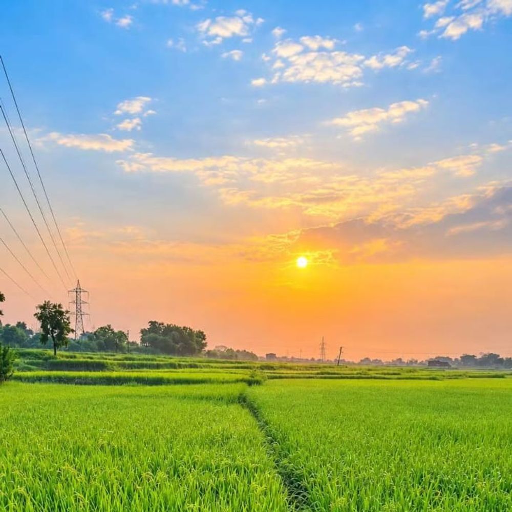 4 अक्टूबर तक मौसम रहेगा साफ, 5 से बारिश के आसार