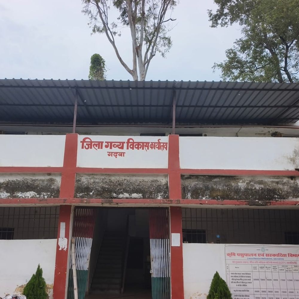 कर्मचारियों की कमी से अटकीं गव्य विकास की योजनाएं… लोग परेशान