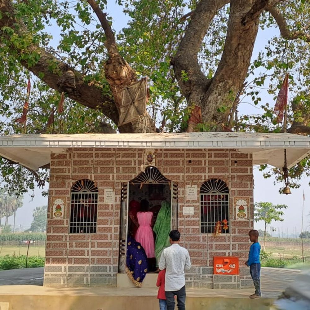78 साल से पीपल के नीचे विराज रहीं मां काली