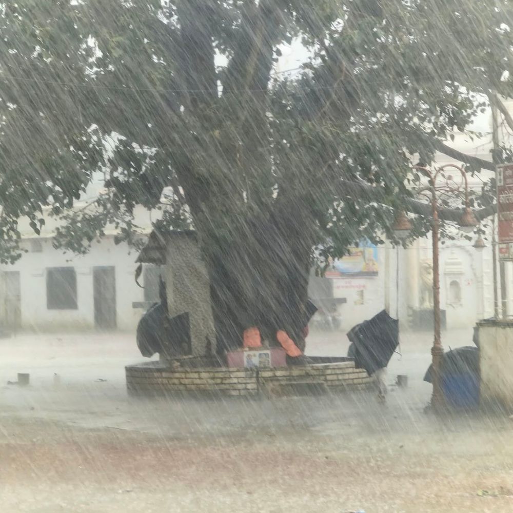 अमरकंटक में आंधी-तूफान के साथ एक घंटे तेज बारिश:अनूपपुर में धूप खिली रही, जिले में पिछले साल की तुलना में 3.23 इंच अधिक पानी गिरा