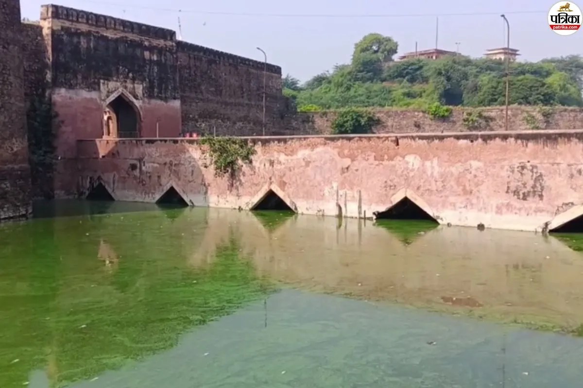 ग्राउंड रिपोर्ट: भरतपुर की ऐतिहासिक नहर में सड़ रहीं मछलियां, बदबू से परेशान लोग; करोड़ों रुपए कहां गए?