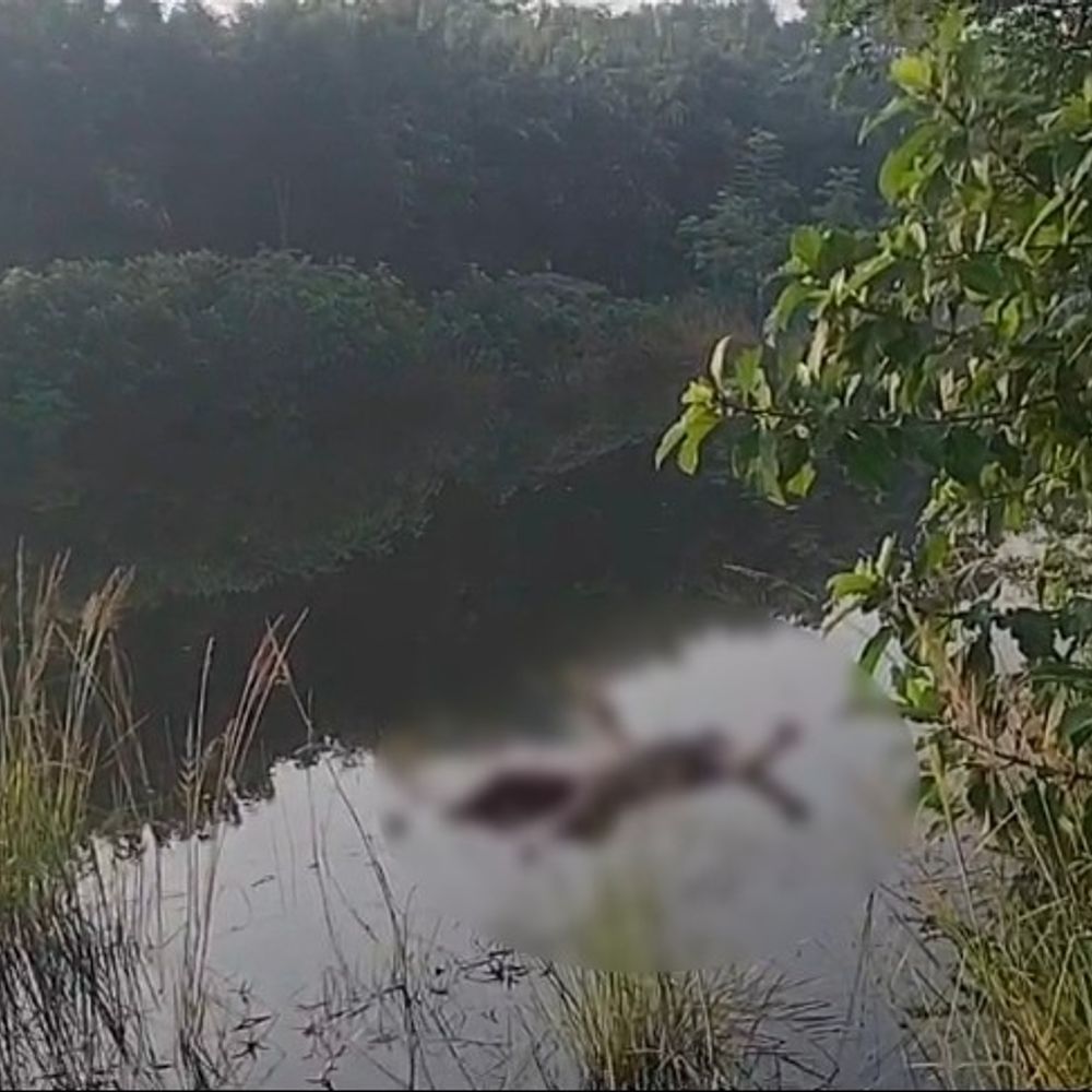 खगड़िया में 3 दिन से लापता युवक का मिला शव:परबत्ता के कोलवारा-थेभाय गांव के पास धार में मिला, डूबने से मौत की आशंका
