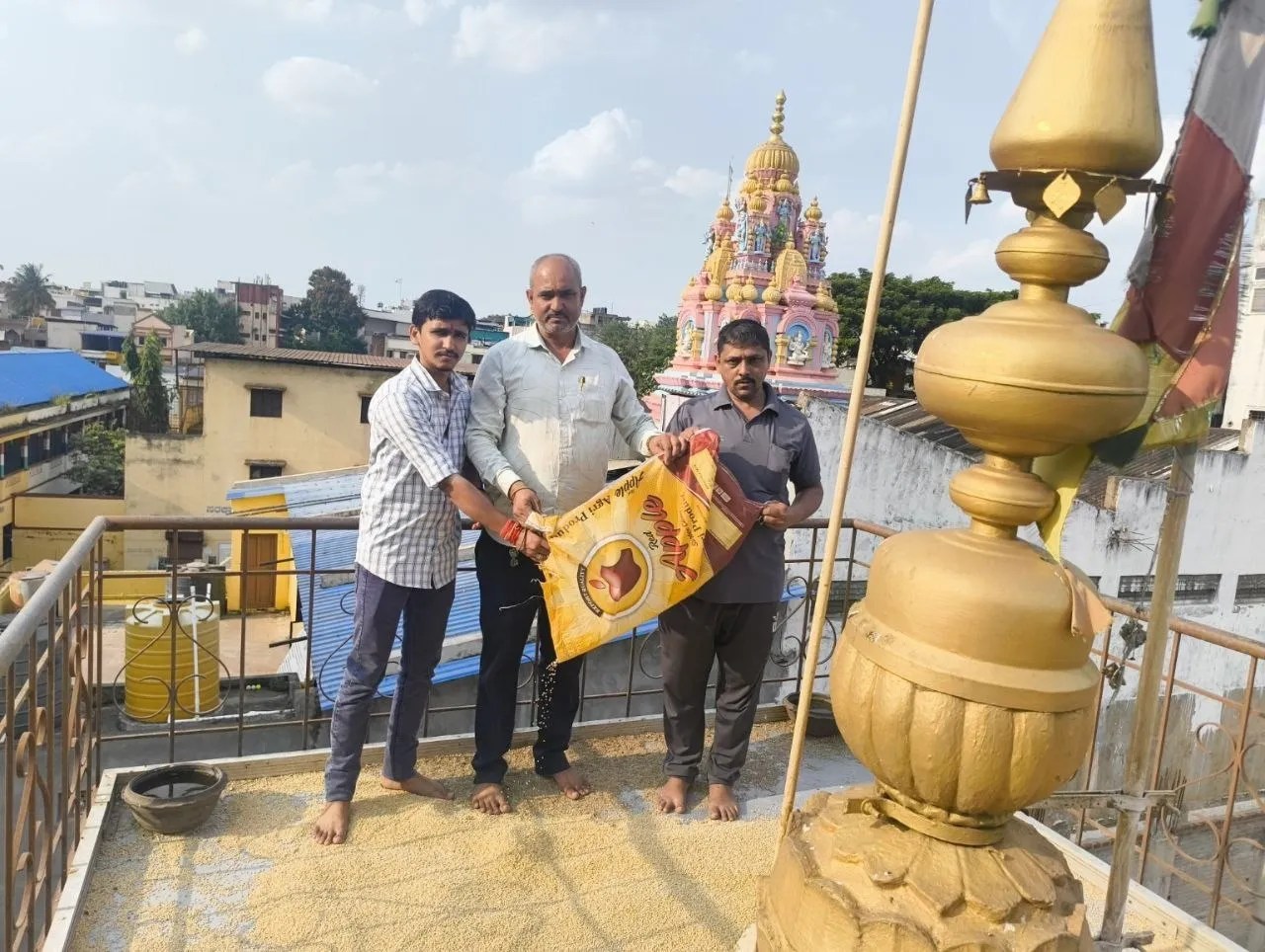 छह साल से रोज 60 किलो दाना, बाबा रामदेव मंदिर की छत पर कबूतरों के लिए चार दोस्तों की सेवा