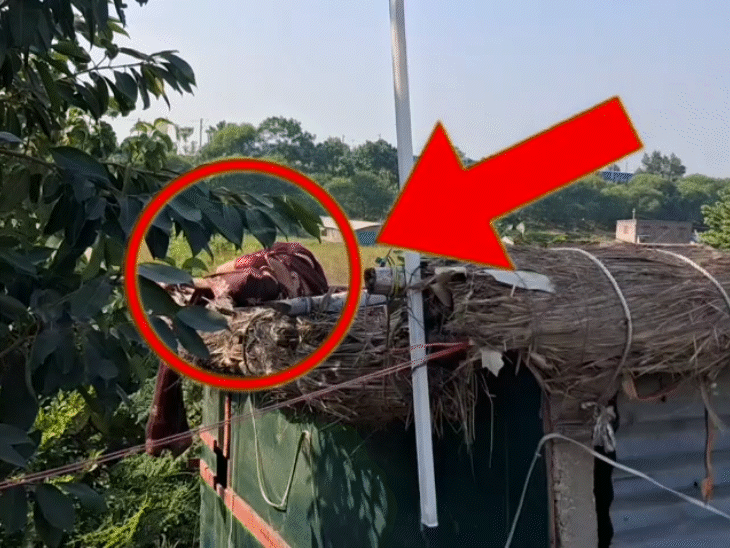 थार-बाइक में टक्कर, बाप-बेटे समेत 3 की मौत:बेगूसराय में 20 मीटर दूर गिरी महिला की बॉडी, बाइक को 10M तक घसीटती रही थार