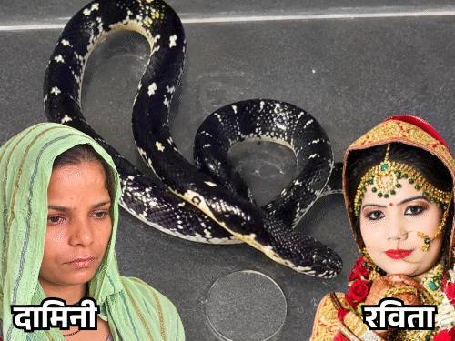मेरठ के रविता सांपकांड से सीखा हत्या का तरीका:दामिनी ने करैत से कटवाकर पति की जान ली, स्कूल वैन ड्राइवर से था अफेयर