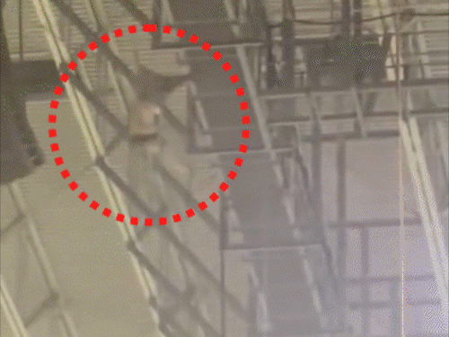 अमेरिका- 170 फीट ऊंचाई से उतर रहे सैनिक की मौत:रस्सी के सहारे लाइव डेमो दे रहा था, बैलेंस बिगड़ने से हादसा