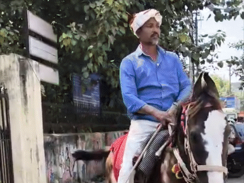 पटना में काउंटिंग सेंटर के बाहर हंगामा:नीरज की जीत से पहले शंखनाद, अनंत आवास पर 1 लाख गुलाब जामुन; ऊंट-घोड़ा,हाथी लेकर पहुंचे समर्थक
