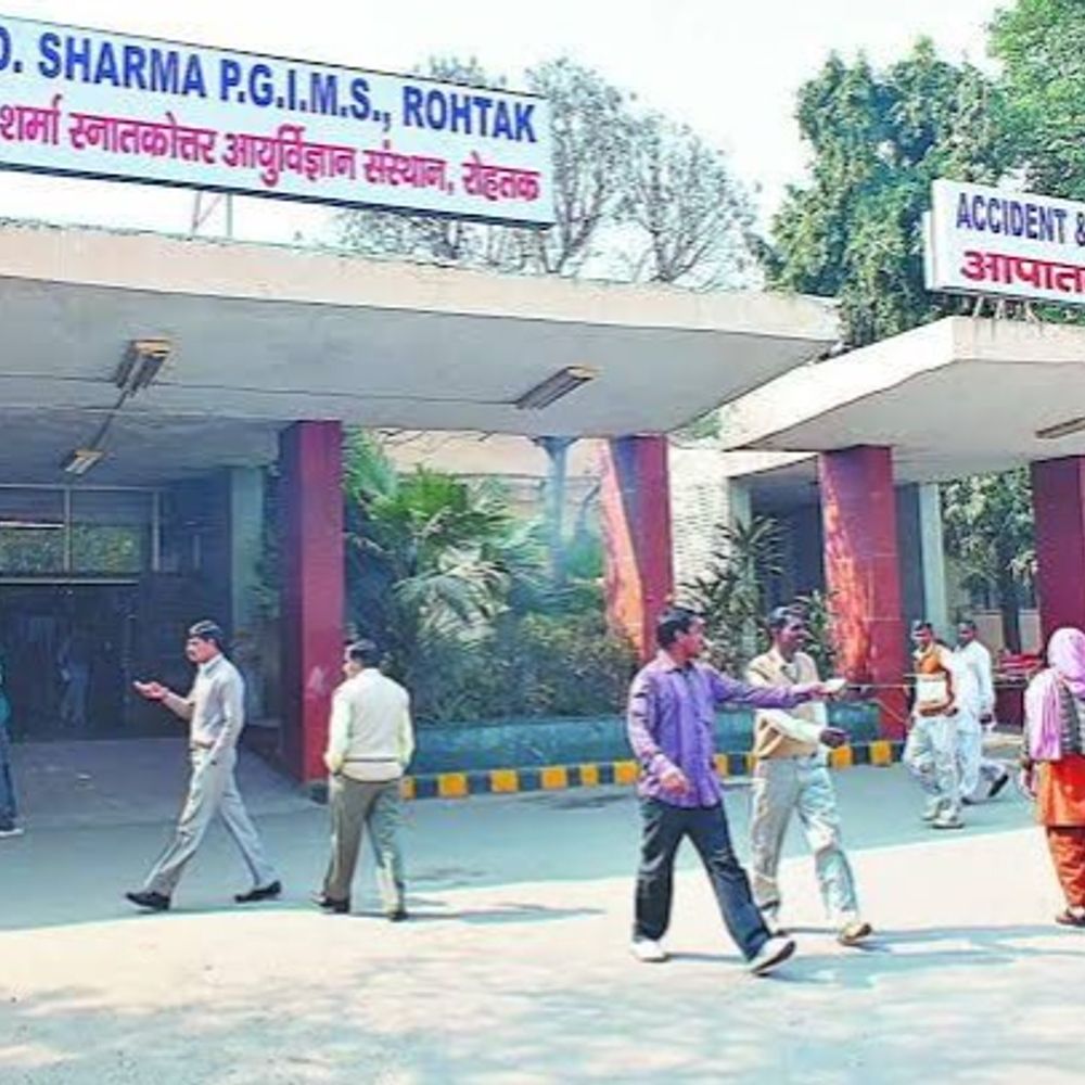 नारनौल में टक्कर से घायल युवक की रोहतक में मौत:नहर के पास बाइक चालक ने मारी थी टक्कर, भेड़-बकरी चराने का करता था काम