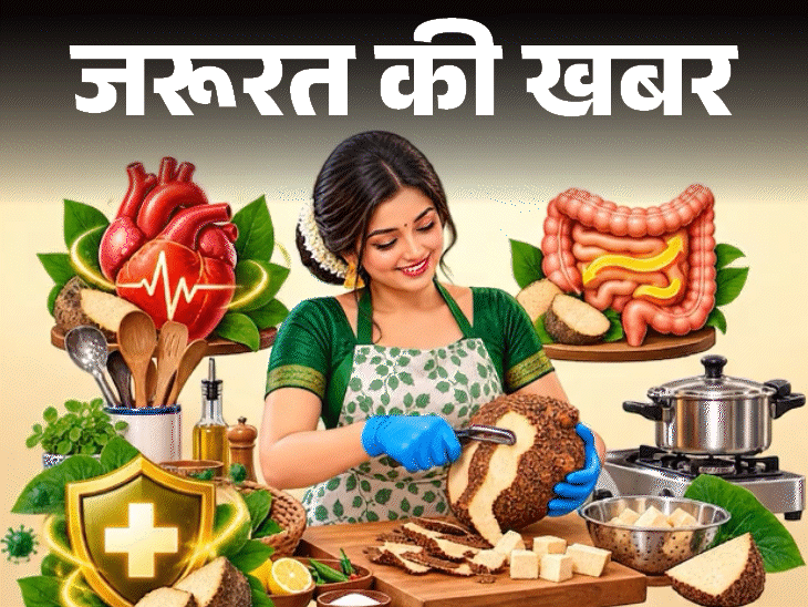 जरूरत की खबर- दिवाली पर सूरन खाने की परंपरा:फाइबर से भरपूर, जानें सूरन के 9 हेल्थ बेनिफिट्स, पकाते हुए ये सावधानी बहुत जरूरी