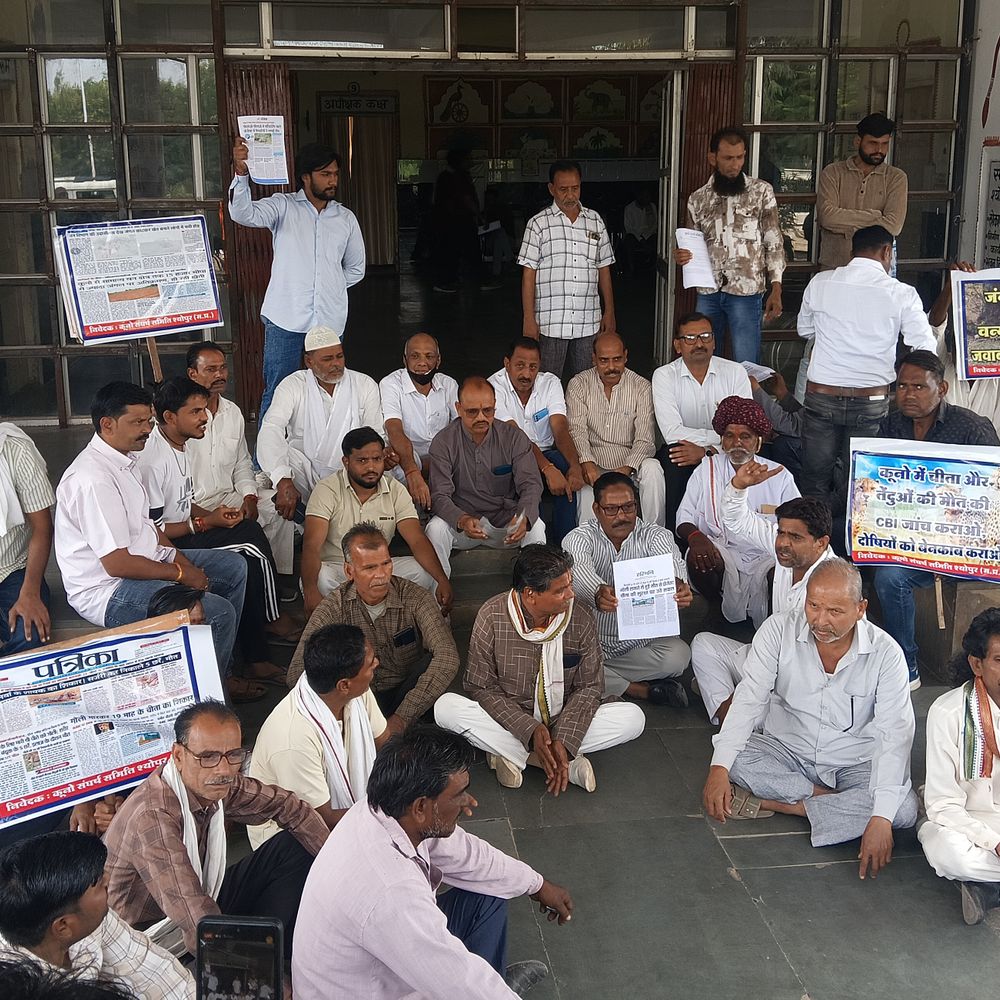 चीते की गोली मारकर हत्या के विरोध में प्रदर्शन:श्योपुर में जंगलों की अवैध कटाई और वन सुरक्षा में लापरवाही पर भी उठाए सवाल