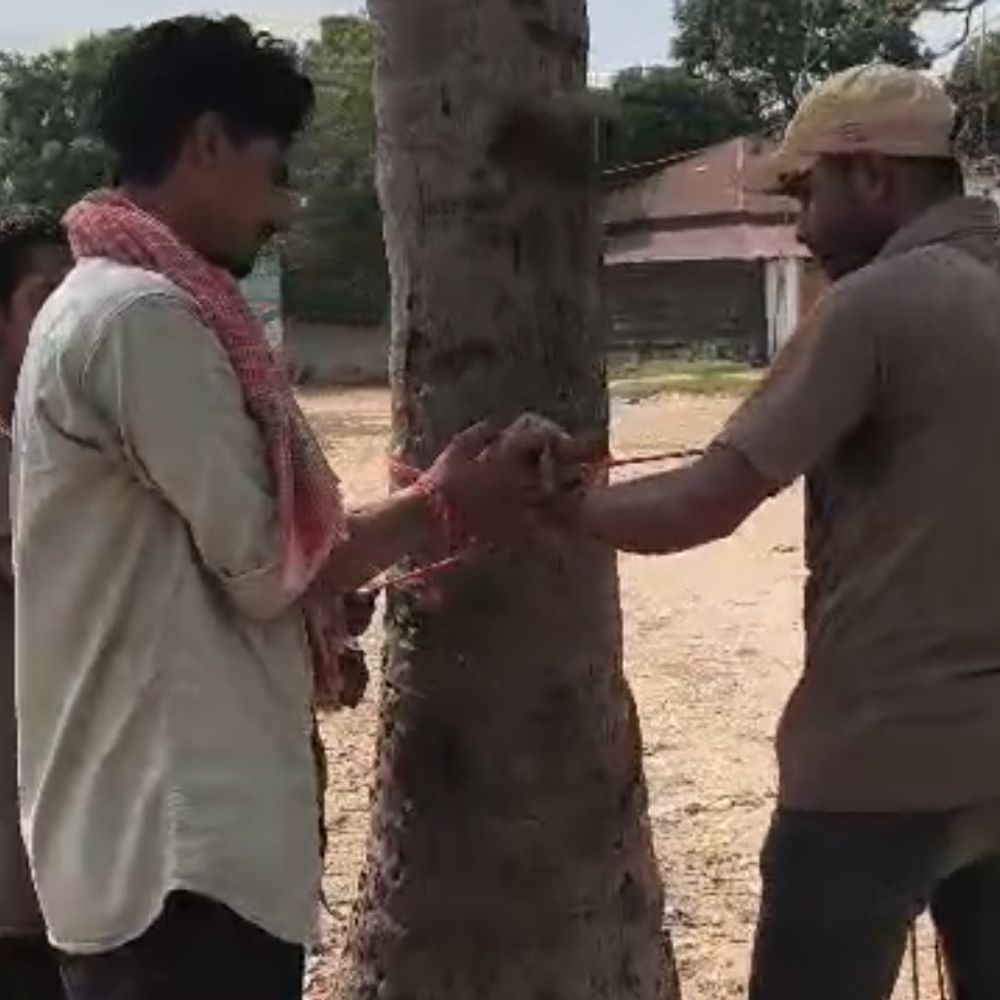 भीड़ ने 2 युवकों को पेड़ से बांधकर पीटा:कटिहार में चोरी के आरोप में की पिटाई, 2 पर FIR; छापेमारी जारी