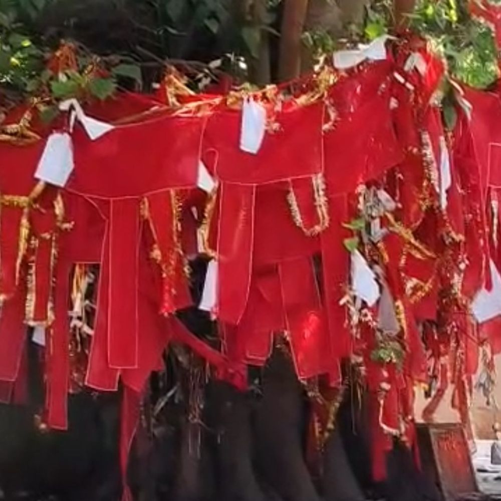 पीपल के टहनियों पर पर्चियों में बंधी हजारों मुरादें:जिन बाबा स्थान पर हिंदू सोमवार को और मुस्लिम शुक्रवार को आते है