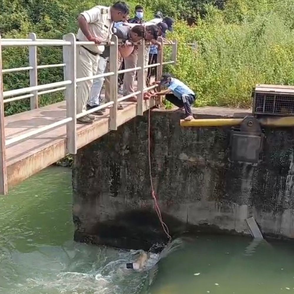 चार दिन बाद पनागर नहर में मिला बच्चे का शव:जबलपुर में नहाने गया था मासूम, तलाश में जुटे परिजनों ने किया था थाने का घेराव