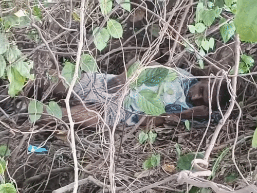 मुजफ्फरपुर- सड़क किनारे झाड़ियों में मिली अधेड़ की लाश:शव के पास एक चप्पल, दूसरा थोड़ी दूर मिला; दूसरे थानों में तस्वीर भेजकर पहचान कराने में जुटी पुलिस