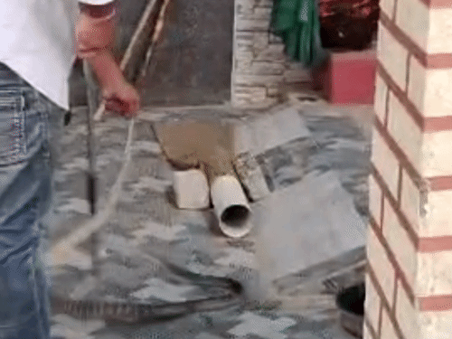 कोरबा में दो जगह सांपों का खौफ:कबूतर के पिंजड़े में घुसकर सांप ने किया शिकार, बाइक में मिला कॉमन करैत, RCRS टीम ने निकाला