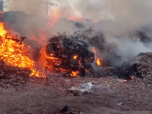मोहाली में RMC पाइंट पर लगी आग:16 गाड़ियां बुझाने में जुटी, रिहायशी और इंडस्ट्री एरिया नजदीक, जीती व बेदी ने विधायक को घेरा