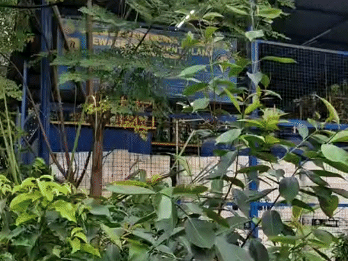 राज्यपाल की डांट के बाद भी नहीं सुधरे STP हालात:छात्र बोले- नहीं हुआ संचालन; कुलपति का दावा- चल रही है STP