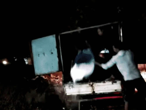 एक्सपायरी दूध से बन रहा था पनीर, गंदगी में मिठाइयां:2500 किलो मिठाई-दूध नष्ट, 3 दुकानें सीज, बिस्किट पर 9 दिन आगे की डेट