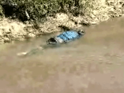 टांगी से हत्या किया फिर आरोपी ने की आत्महत्या:सूरजपुर में पत्नी-बेटी के बयान से खुला राज, बसदेई पुलिस ने सुलझाई गुत्थी