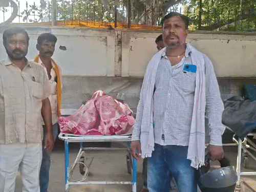 भागलपुर में पेड़ से टकराई बाइक:10वीं के छात्र की मौत, घर का इकलौता लड़का था; चचेरे भाई की हालत नाजुक