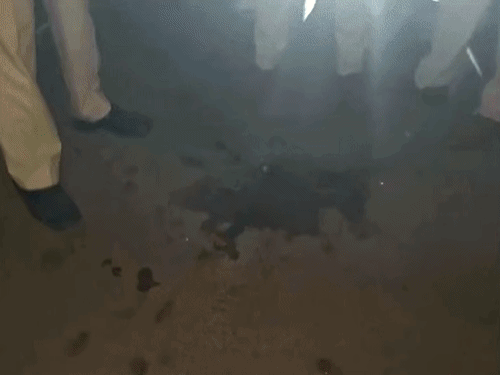 मूर्ति विसर्जन के दौरान पटना में मर्डर:पूजा कमेटी विवाद में लड़के को मारी गोली; हंगामे के बीच विसर्जन रुका तो DSP ने खुद चलाया ट्रैक्टर