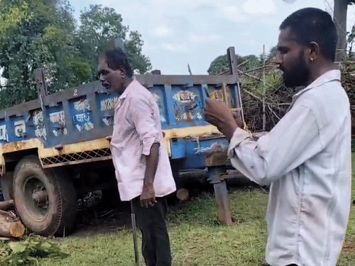 वनकर्मी ने कटवाए 18 सागौन के पेड़:बेटे ने रेंजर पर उठाया सब्बल, बोला- तू मुझे जानता नहीं, मैं गुंडा