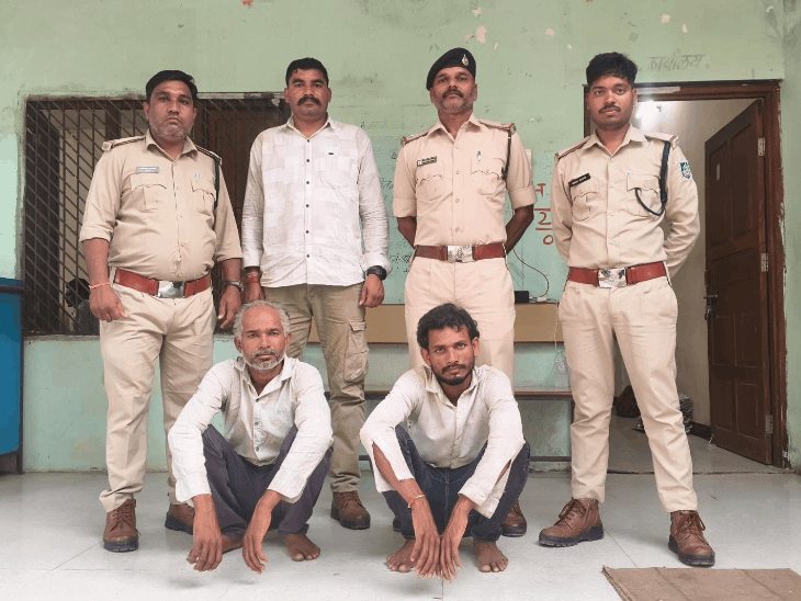 चोरी और अवैध कटाई के मामलों में कार्रवाई:सोलर प्लांट चोरी में एक गिरफ्तार; सागौन तस्करी में 5 पकड़े