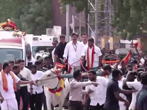 तमिलनाडु समेत 4 राज्यों में उपचुनाव के लिए प्रचार खत्म:विजय ने धारापुरम में 40km रोड शो किया; 6 अक्टूबर को वोटिंग होगी