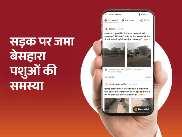 कलवारिया कुंज में 10 दिन बाद जली स्ट्रीट लाइट:सड़क, बेसहारा पशुओं और जलभराव से जुड़ी समस्याएं शामिल