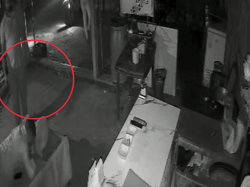 समस्तीपुर में होटल संचालक की बेरहमी से पिटाई:मारपीट के बाद अपराधियों ने पीठ में मारी गोली, स्टाफ को मौके से भगाया; CCTV में वारदात कैद
