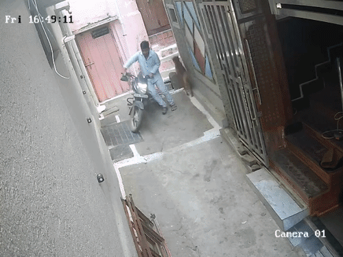 बाइक चोरी कर 3 दिन बाद चोर ने वापस लौटाई:CCTV में कान पकड़कर माफी मांगते नजर आया; फुटेज के आधार पर कार्रवाई जारी
