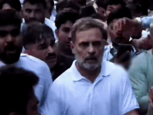 BJP का आरोप- राहुल ने महिला पत्रकार को धकेला:मार्च में शामिल कार्यकर्ता को भी कोहनी मारी, उनका व्यवहार लोकतंत्र के लिए खतरनाक