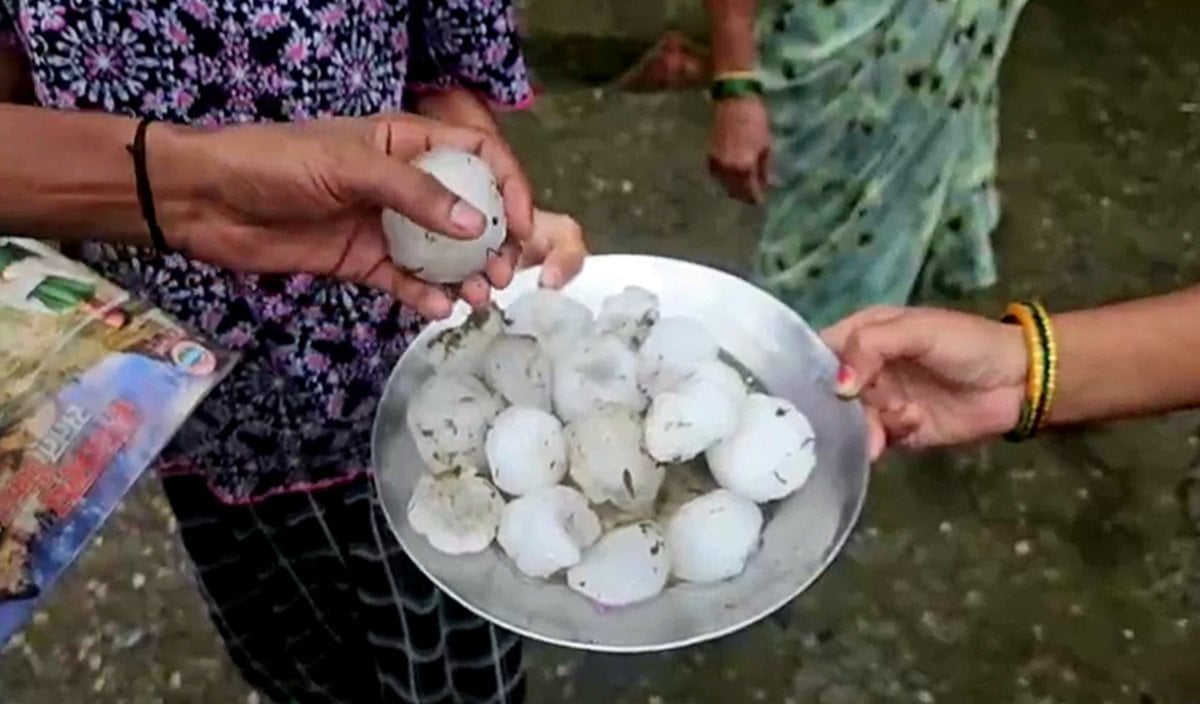 Haridwar Severe Hailstorm | हरिद्वार से देहरादून तक बिगड़े हालात, मूसलाधार बारिश और भीषण ओलावृष्टि से हाहाकार, मौसम विभाग का ‘येलो अलर्ट’ जारी