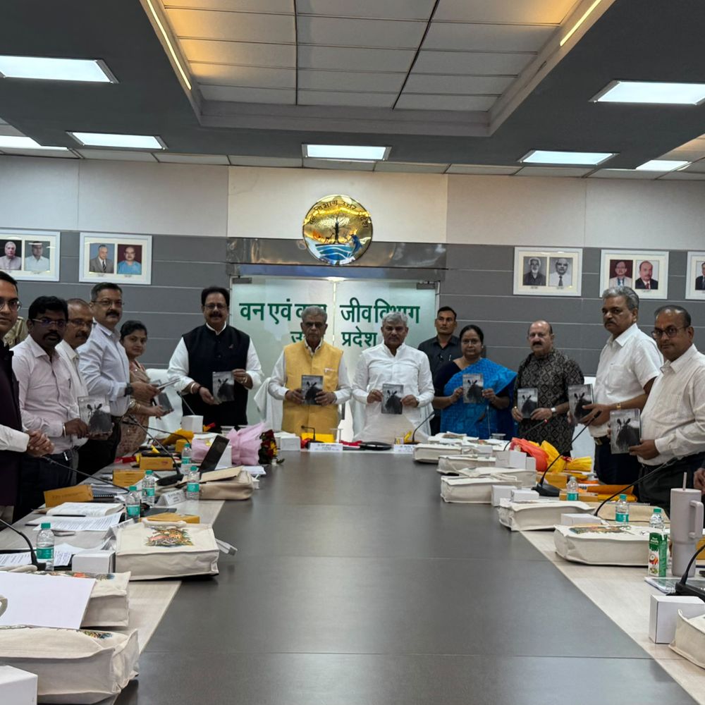 दुधवा टाइगर रिजर्व में सफारी और प्रवेश शुल्क नहीं बढ़ेगा:लखीमपुर में पर्यटन से आय 49% बढ़ी, 3.20 करोड़ रुपए पहुंचा राजस्व
