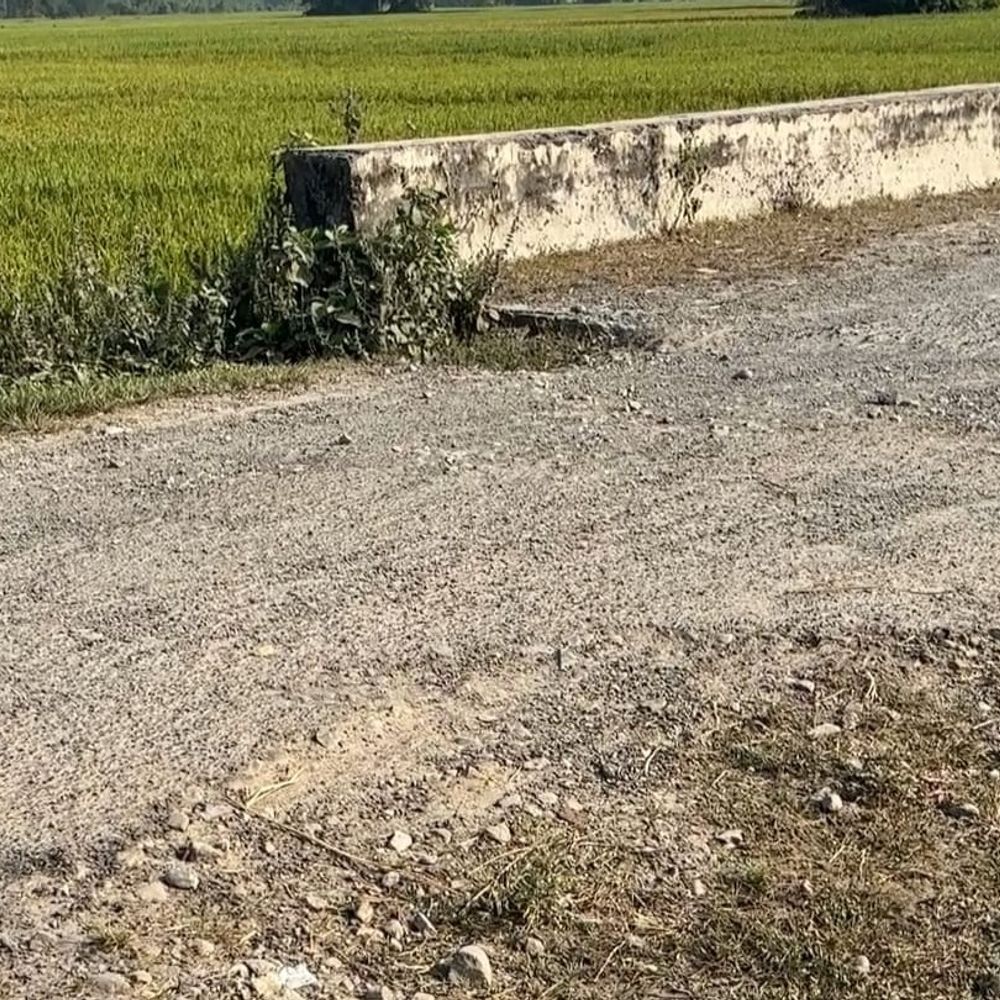 रेणु गेट से गिध्वास तक 16 KM सड़क जर्जर:गड्ढों में तलाशनी पड़ती है राह; 5 साल से परेशानी झेल रहे लोग