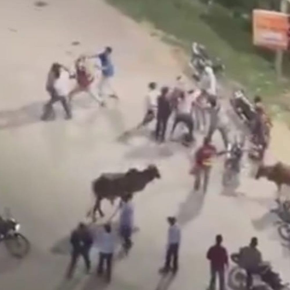 ऑनलाइन ऑर्डर की डिलीवरी को लेकर राइडर भिड़े, VIDEO:ग्रेटर नोएडा में युवक को दौड़ा-दौड़ाकर पीटा, पुलिस ने संभाली स्थिति